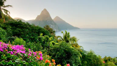 Caribbean Calypso
